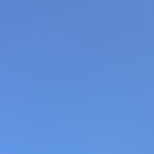 Meet your Posher, Celia